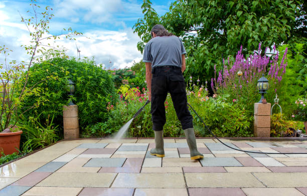 Best Fence Cleaning and Maintenance in Lake Grove, NY